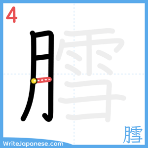 How to write "膤" - stroke 4