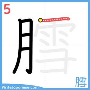 How to write "膤" - stroke 5