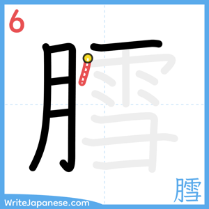 How to write "膤" - stroke 6