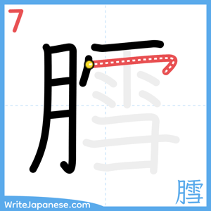 How to write "膤" - stroke 7