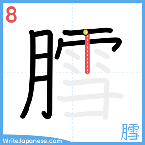 How to write "膤" - stroke 8