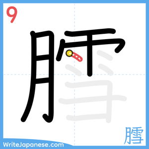 How to write "膤" - stroke 9