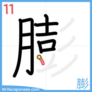 How to write "膨" - stroke 11