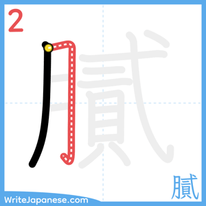 How to write "膩" - stroke 2