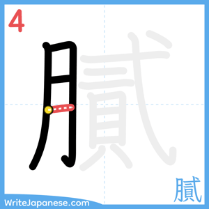 How to write "膩" - stroke 4
