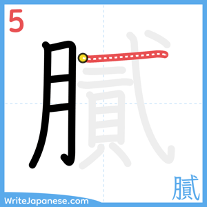 How to write "膩" - stroke 5