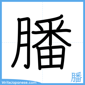 How to write "膰" - complete stroke order