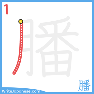 How to write "膰" - stroke 1