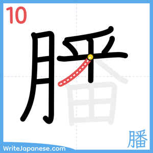 How to write "膰" - stroke 10