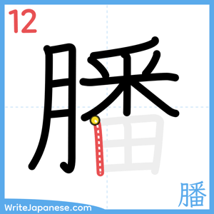 How to write "膰" - stroke 12