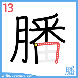 How to write "膰" - stroke 13