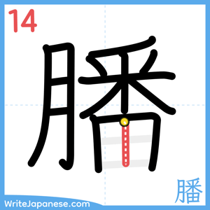 How to write "膰" - stroke 14