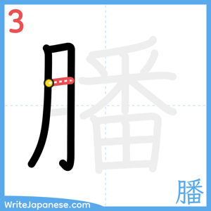 How to write "膰" - stroke 3