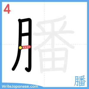How to write "膰" - stroke 4