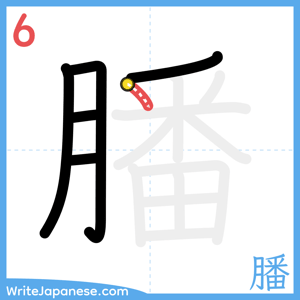 How to write "膰" - stroke 6