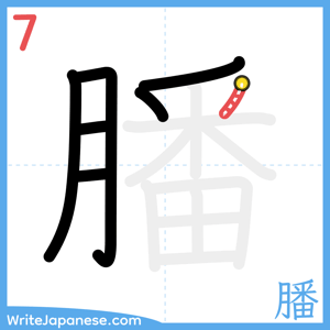 How to write "膰" - stroke 7