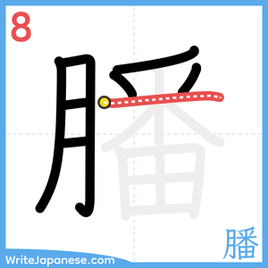How to write "膰" - stroke 8