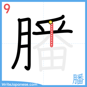 How to write "膰" - stroke 9