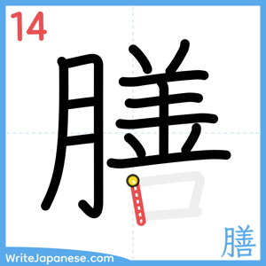 How to write "膳" - stroke 14