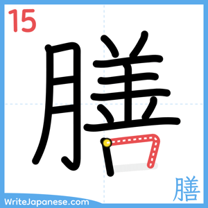 How to write "膳" - stroke 15
