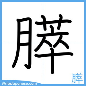 How to write "膵" - complete stroke order