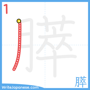 How to write "膵" - stroke 1