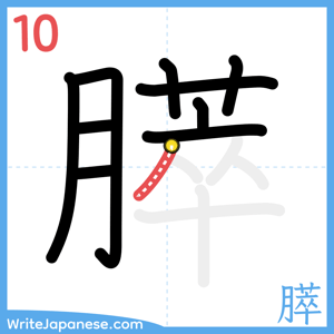 How to write "膵" - stroke 10