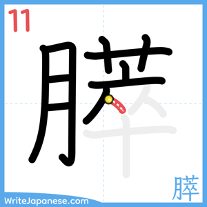 How to write "膵" - stroke 11