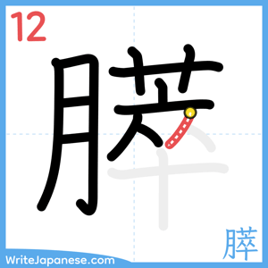 How to write "膵" - stroke 12