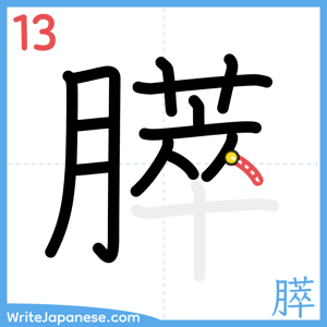 How to write "膵" - stroke 13