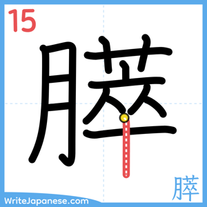 How to write "膵" - stroke 15
