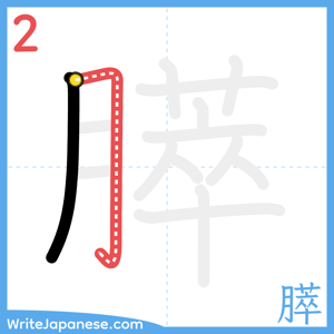 How to write "膵" - stroke 2
