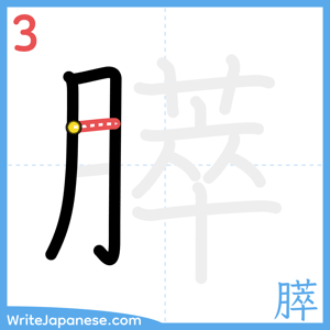 How to write "膵" - stroke 3