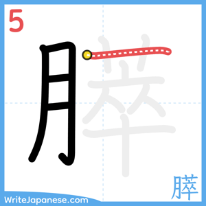 How to write "膵" - stroke 5