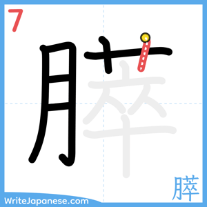 How to write "膵" - stroke 7