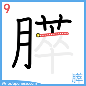 How to write "膵" - stroke 9