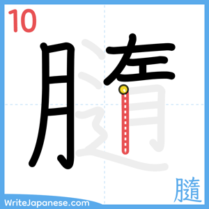 How to write "膸" - stroke 10