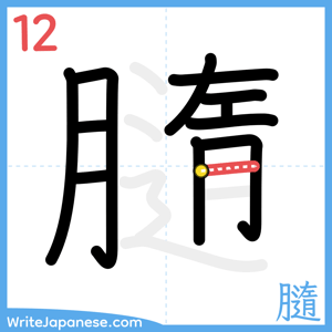 How to write "膸" - stroke 12