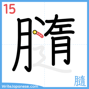 How to write "膸" - stroke 15