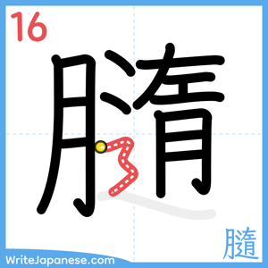 How to write "膸" - stroke 16