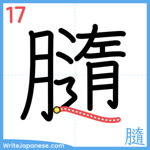 How to write "膸" - stroke 17