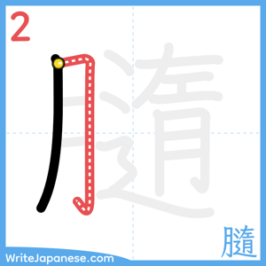 How to write "膸" - stroke 2