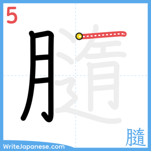 How to write "膸" - stroke 5