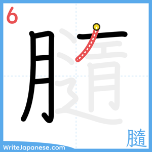 How to write "膸" - stroke 6