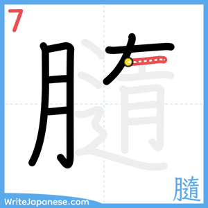 How to write "膸" - stroke 7