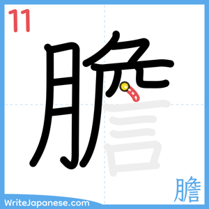 How to write "膽" - stroke 11