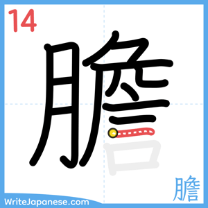 How to write "膽" - stroke 14