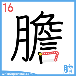 How to write "膽" - stroke 16