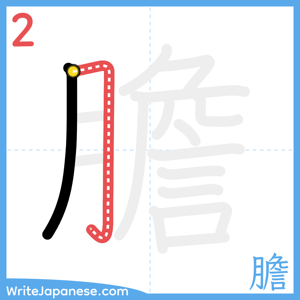 How to write "膽" - stroke 2