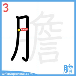 How to write "膽" - stroke 3